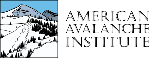 American Avalanche Institute